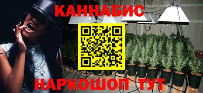 амф Гай