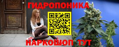 амф Гай