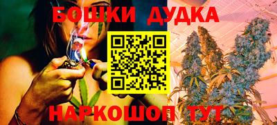 бошки Гатчина