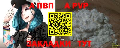 амф Гай