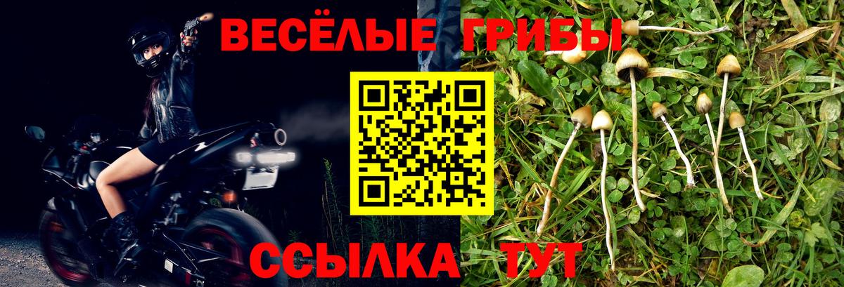 Псилоцибиновые грибы MAGIC MUSHROOMS  Вход с VPN  Воскресенск  Галлюциногенные грибы прущие грибы 